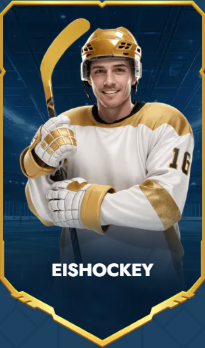 sport-6 Eishockey Kategorie Spieler Schläger Helm